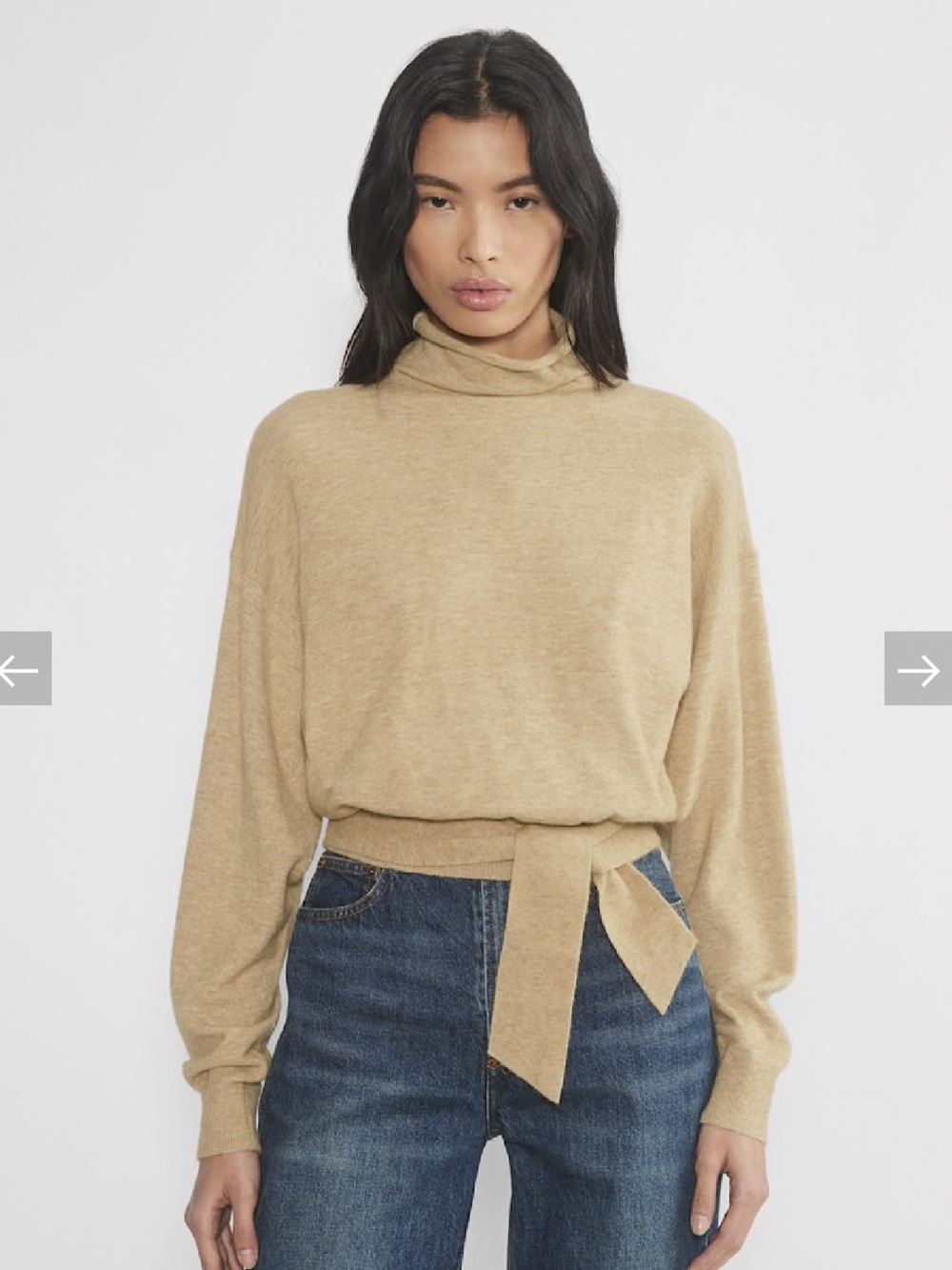 Aritzia Wilfred Lorin Turtleneck Sweater